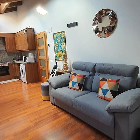 Cal Tranquil Camprodon, Acollidor Atic Al Centre Apartment Ngoại thất bức ảnh