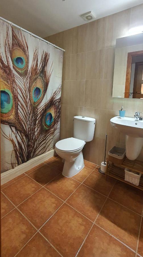 Cal Tranquil Camprodon, Acollidor Atic Al Centre Apartment Ngoại thất bức ảnh